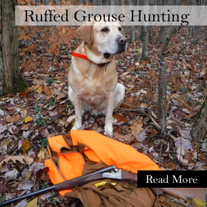 Sept 28.jpg - 97809 Bytes